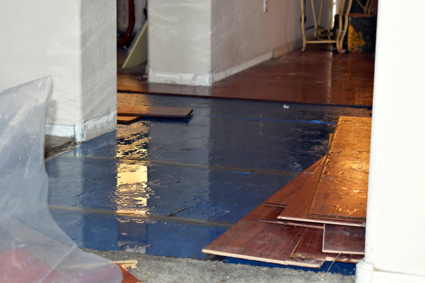 Professional Burst Pipe Cleanup technician working in Clinton, MS
